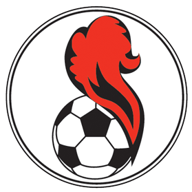 https://img.sh-qybj.com/img/football/team/5541e5015258ae82b121480f4164267d.png