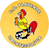 https://img.sh-qybj.com/img/football/team/63b0933cc303927659846a4ed54b1522.png