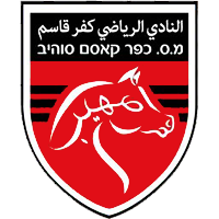 https://img.sh-qybj.com/img/football/team/6ab1782364049d6313678f74a706d246.png