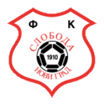 https://img.sh-qybj.com/img/football/team/b71b7bfab3d42c691e953977143504e5.png